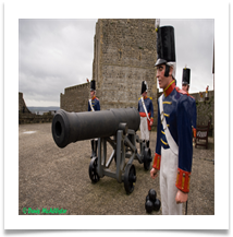 Artillery - Denis McAllister